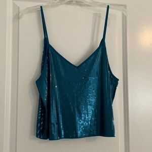 Cropped Express sequin top.